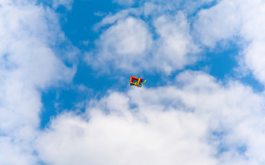 kite in the sky