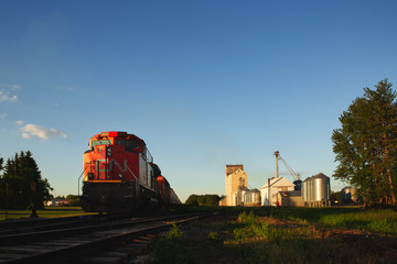 A railway train with attached cabooses at an agriculture grain terminal in a summer evening...