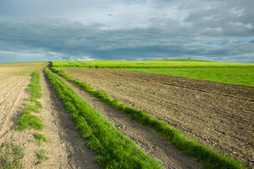 Dirt road through the fields, horizon and cloudy sky