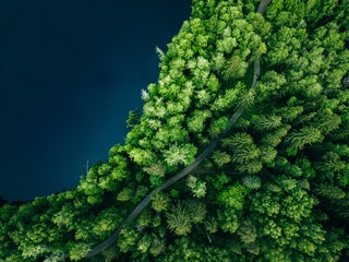 Luftaufnahme der Landstraße im grünen Sommerwald und im blauen See. Ländliche Landschaft in Finnland.