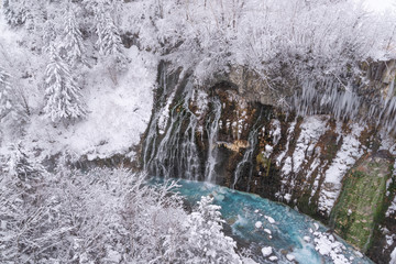 冬の白ひげの滝 / 北海道 美瑛町の観光イメージ