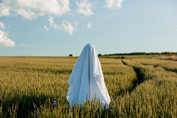 cute ghost in a bed sheet on a wheat field