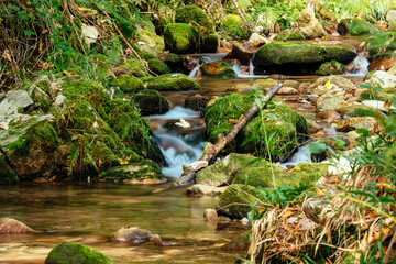 Wasserfall im Schwarzwald