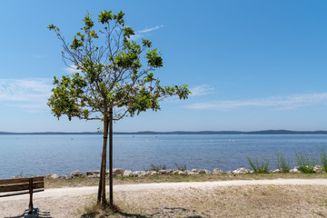 Fototapeta na wymiar beach Lacanau village french big lake