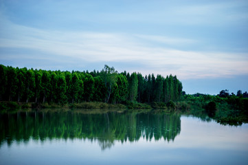 Obraz premium Pictures of trees and rivers, streams and beautiful nature in the evening of every day Nature concept