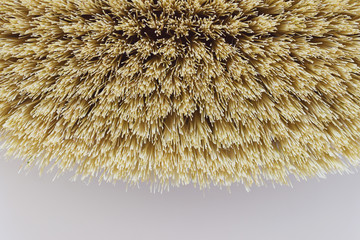 Macro photo of spa organic brush for dry massage. Cactus brush. Anti-cellulite massage. Spa beauty concept. Texture of a brush.