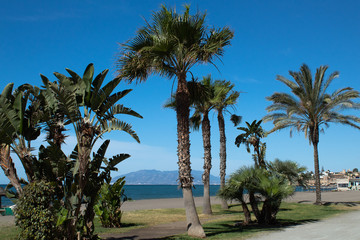 Fototapeta na wymiar Palm trees by the sea on the beach against the backdrop of the mountain ridge and the seaside town