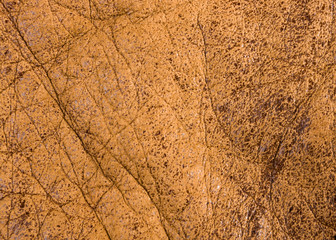 Old vintage genuine soft brown leather texture background, top layer with pores and scratches, macro, close-up