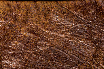 Old vintage genuine soft brown leather texture background, top layer with pores and scratches, macro, close-up