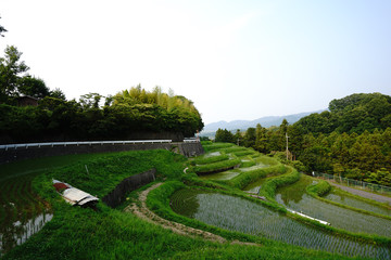 Landscape of Chihaya Akasaka-mura