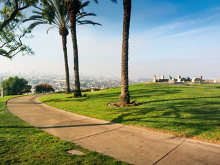 Los Angeles downtown skyline and palm trees as seen from the Baldwin Hills, California