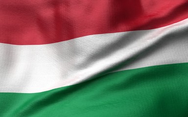 3D Illustration of Hungary Flag