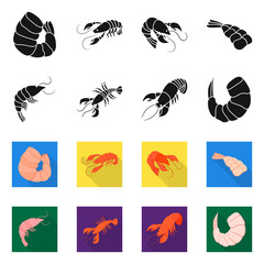 Vector illustration of appetizer and ocean icon. Collection of appetizer and delicacy vector icon for stock.