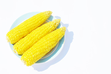  Whole sweet corn on the plate isolated  on white background, photo