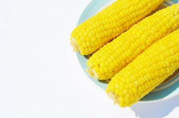  Whole sweet corn on the plate isolated  on white background, photo