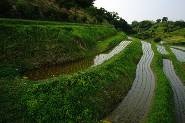 千早赤坂村の風景