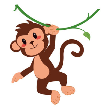 cute monkey hanging on vine