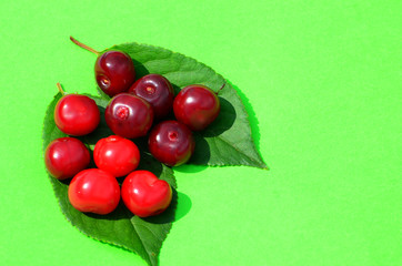 Red ripe cherries  on green background, fruit pattern,photo
