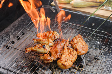Roasted chicken drum stick, chest and sirloin beef with flame on charcoal stove
