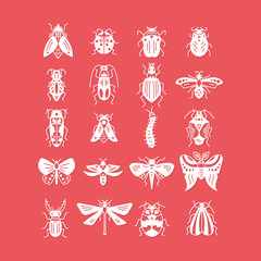 Bugs and insects icon isolated on background