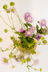  Bouquet of lilac wildflowers in a clay vase on the floor