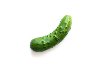 One fresh cucumber isolated on white background
