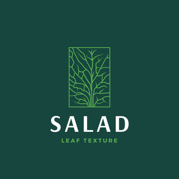 Salad Lettuce In a Frame Abstract Vector Sign, Symbol or Logo Template. Premium Vegetable or Green Food Emblem with Modern Typography.