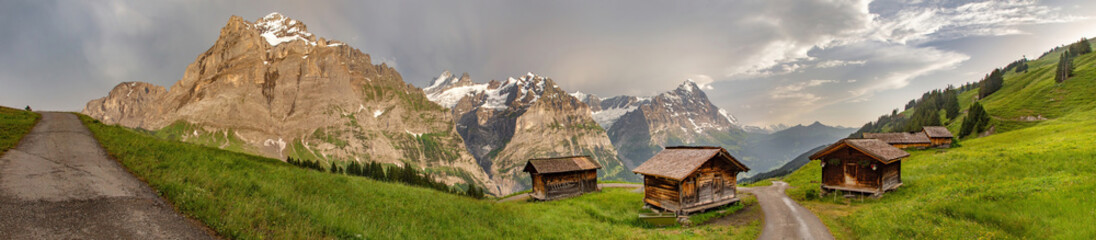 Fototapeta na wymiar Swiss beauty, chalets on meadows in Grindelwald,Bernese Oberland,Switzerland,Europe