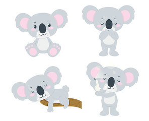 set of koala bears