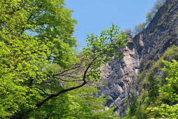 Fototapeta premium North Korean nature