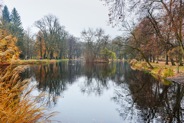 Lazienki Park or Royal Baths Park in autumn. Warsaw. Poland