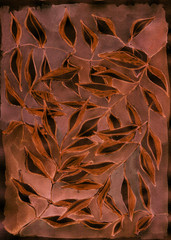 Hand Drawn botanical textures. Ideal for web, card, poster, cover, invitation brochure.