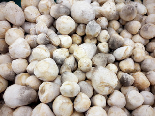 Many straw mushrooms from supermarket is ingredient for cooking, Food concept