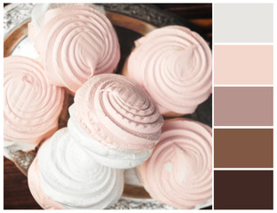 Pastel color palette. Pink and brown color swatch.