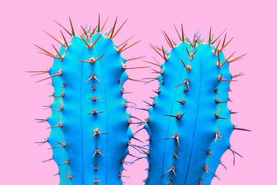 Cacti colorful fashionable mood. Trendy tropical Neon Cactus plant on Pink Color background. Fashion Minimal Art Concept. Creative Style.