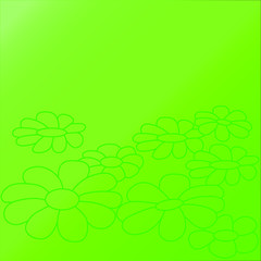 Beautiful daisies on a green background