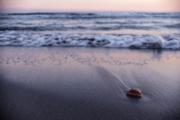 Sea landscape at sunset on the coast