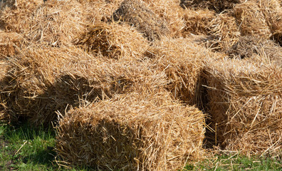 Strohballen zu einem Strohhaufen aufgetürmt als Hintergrund