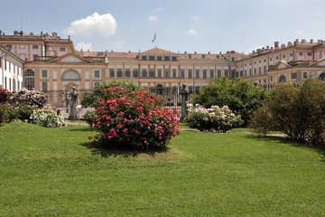 villa reale e piante di rose monza in italia, royal villa and rose plants in monza city in italy	