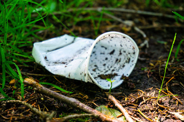 A plastic cup lies in a wooded area polluting the environment while young plants try to growing up, 