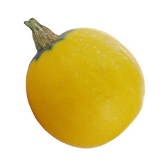 yellow zucchini isolated on white background