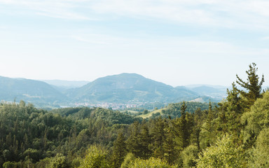 Fototapeta na wymiar Panoramic view above the trees