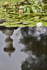 Obraz na płótnie Canvas The vase reflected in a park pond