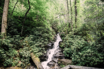 North Georgia Mountains Forest Waterfall