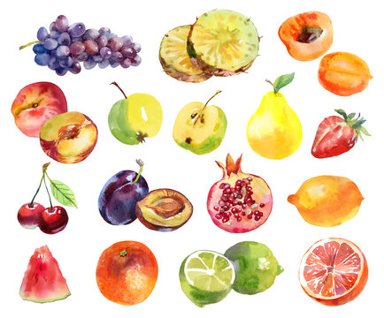 Set of fresh watercolor fruits. Hand drawn illustration on white background