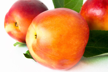 one fresh tasty peach on a white background