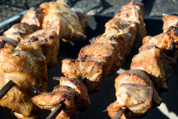kebab roasts preparing in tandoor