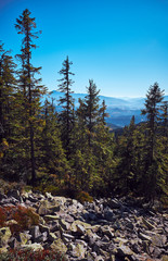 The Carpathian Mountains or Carpathians