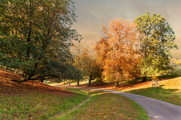 Autumn in the park - natural scenery