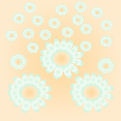 White daisies on a light background